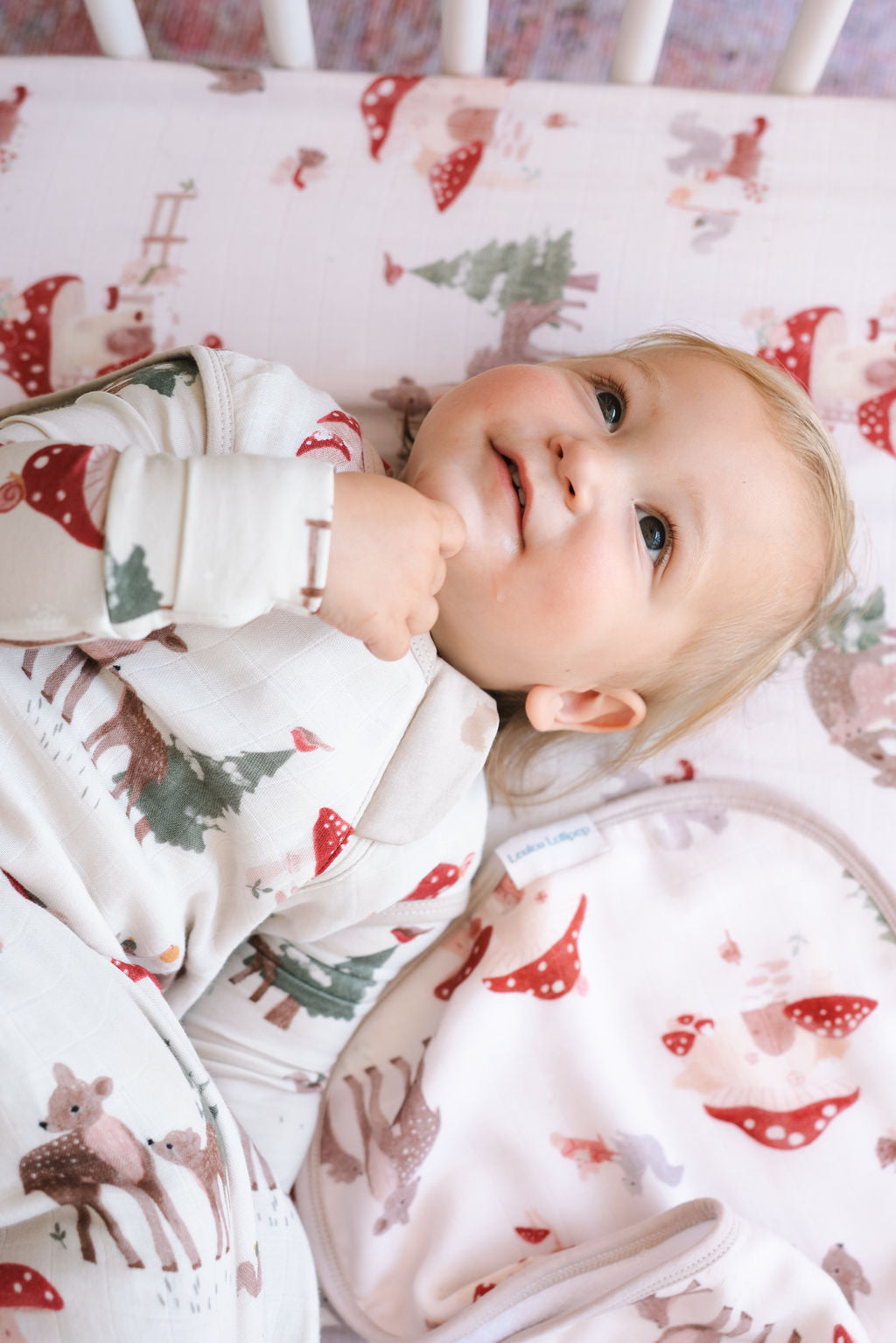 Newborn Sleep Gift Bundle - Forest Families